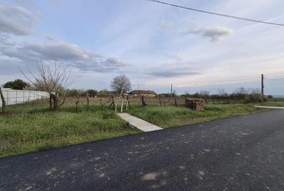 Teren de 9060 mp, în Cujmir - 2