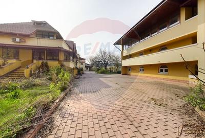 Casa / Vila cu 21 camere de vanzare in zona Alexandriei - 30