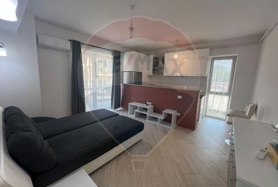 Apartament cu 1 camere de inchiriat in zona Tineretului