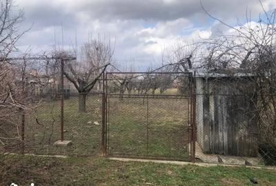 Casă cu 3 camere cu Teren 1768 Mp în Drajna - 14