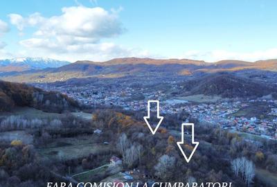 PADURE LANGA ORAS, ACCES BUN, IDEALA PENTRU ACTIVITATI DE AGREMENT - 3