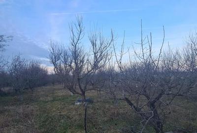 Casă cu 4 camere cu Teren 325 Mp în Dămăroaia - 2