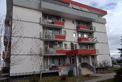 Apartament cu 2 camere decomandat în Turnișor - 11