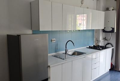 Apartament cu 2 camere decomandat în Dosu Bricii - 4