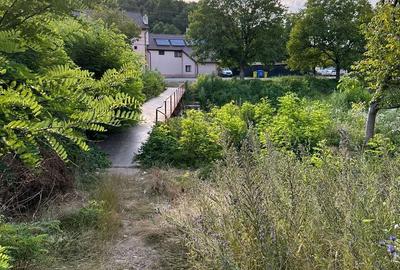 Teren Construcții intravilan de 13861 mp, în Est - 11