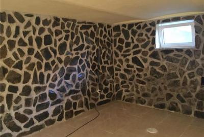 Lipovei- casa individuala complet renovata, 5 camere, centrala termica, teren ge - 5