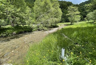 Teren de 7591 mp, în Poiana Mărului - 4