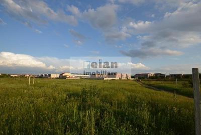 Voluntari - Matei Millo Teren 481 Mp Utili, Deschidere 20 Ml - 2