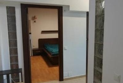 Garsoniera spatioasa de inchiriat in Piata Muncii - 10