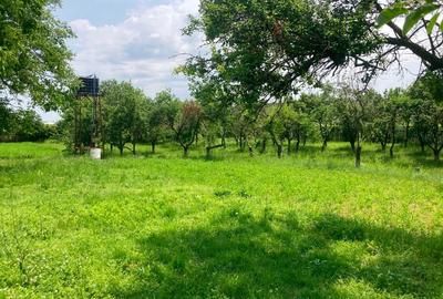 Vând teren intravilan cu casă locuibilă, Butimanu, Dâmbovița – 3.900 m² - 5