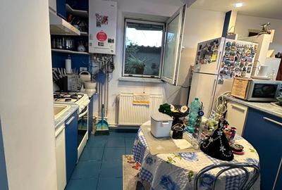 Rahova - Salaj - Parc Humulesti - 3