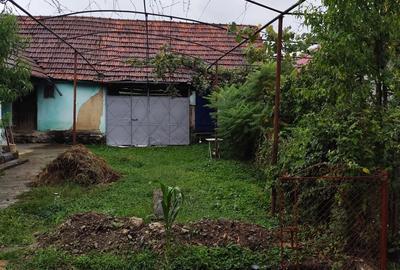 Casa de vacanta de vanzare in Cosdeni - 6