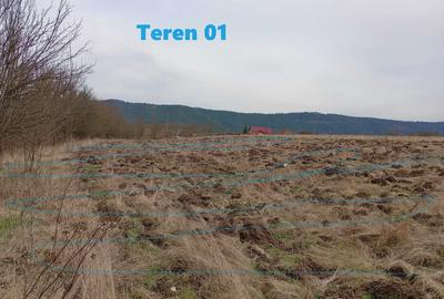 Teren Construcții intravilan de 2121 mp, în Fundătura - 2