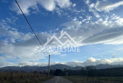 Casa / Cabana A-Frame moderna, 4 camere – Investitie - 24