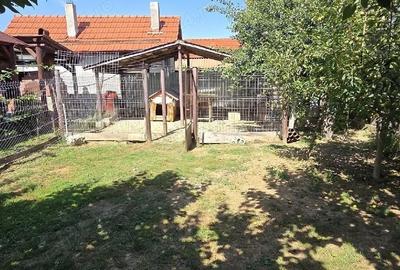 Casă în Păulești - 6