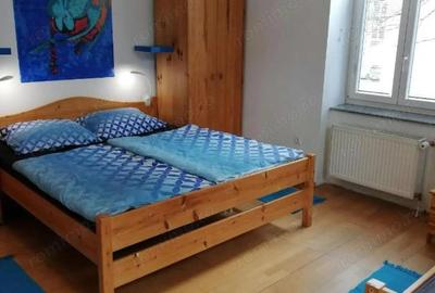 Apartament cu doua camere in zona Piata Maria de inchiriat - 6