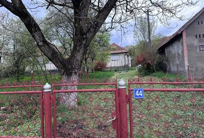 Casă cu 3 camere în Cozma - 5