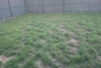 Casă cu 3 camere cu Teren 300 Mp în Giroc - 22