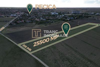Teren Construcții intravilan de 25500 mp, în Vladimirescu - 1