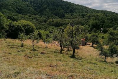 Spațiu comercial, în Central
