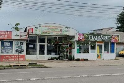 Propietar vind casa ,spatiu comercial - 1