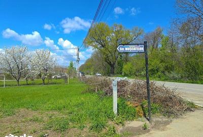 Teren de 512 mp, în Rediu - 7