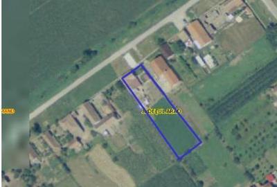 Casă cu 2 camere în Central - 4