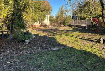 Casă cu 3 camere în Peștișu Mare