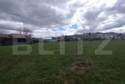 Casa 80mp, teren 7500mp , intravilan, zona Valea Bargaului - 3