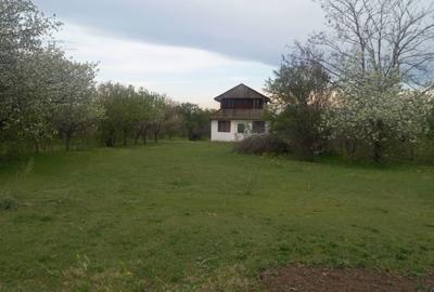 Spațiu comercial, în Industrială - 6