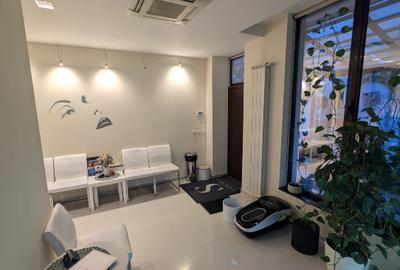 Vila P+2E+M | 200 mp | Cotroceni | terasă 30 mp  | pretabil medical & office - 5