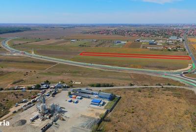 Teren de 10000 mp, în Vladimirescu - 6