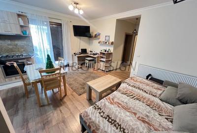 De inchiriat ap 2 camere, parter, parcare, Braytim - 4