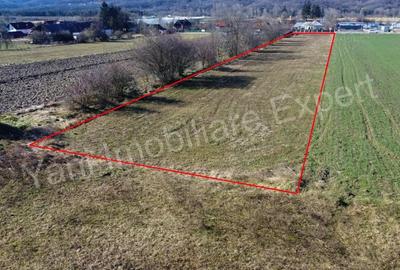 Teren de 3657 mp, în Băiculești - 5