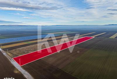 Teren de 16000 mp, în Hărmanului - 2