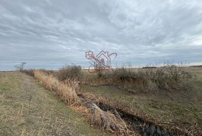 Teren 5.000 mp centura Calea Sagului- Freidorf. Comision 0 - 4