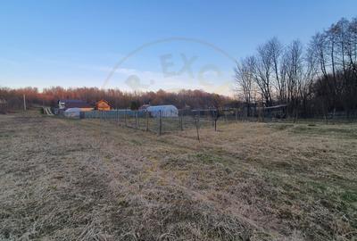 Teren Construcții intravilan de 500 mp, în Moșoaia - 2