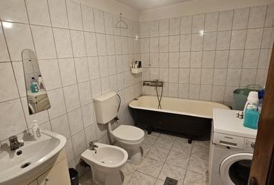 Giarmata  Mare – Casa 4 Camere – Central – Teren - 11