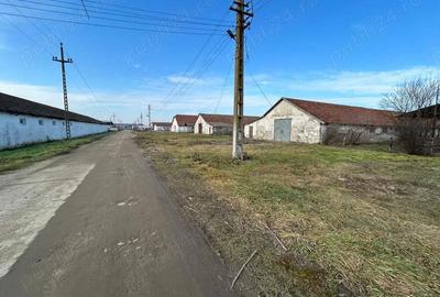 Vand teren intravilan,zona industriala,st.16,8 ha. + 8 ha.agricol,in Sanicolau Mare, la DN6,la sosea - 7