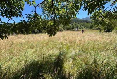 Spațiu comercial, în Hârja - 5