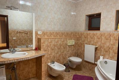 Proprietate inedita cu teren de 4400, si deschidere cu ponton pe Bega - 17
