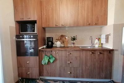 Apartament de vanzare 2 camere,tip PB,et. 2,Nufarul Apartament de vanzare 2 camere,tip PB,et. 2,Nufarul - 4