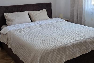 Apartament cu 2 camere semidecomandat în Cetate - 1
