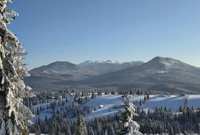 Spațiu comercial, în Mureșenii Bârgăului - 1