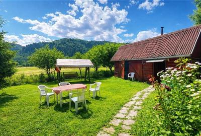 FILM Tur LIVE! Casa de vacanta, intr- o ariere admirabila,Lu - 4