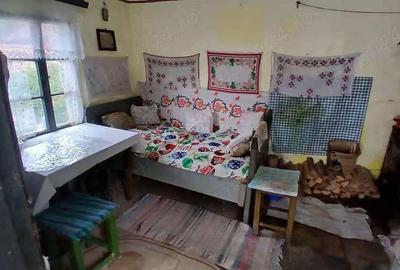 Casă cu 2 camere cu Teren 3342 Mp în Rusca - 8