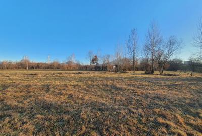 Teren Construcții intravilan de 1370 mp, în Bran - 9