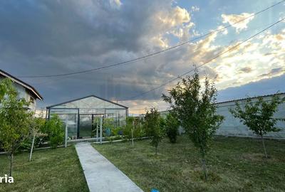 Teren de 906 mp, în Răcari - 14