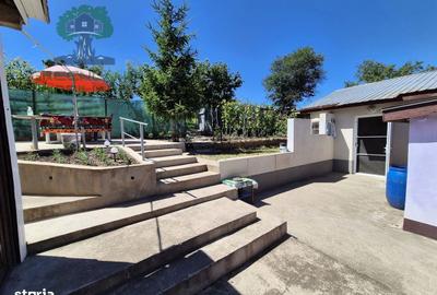 Casă cu 4 camere în Vulturi - 10