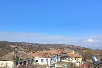 Teren de 4944 mp, în Dobra - 1